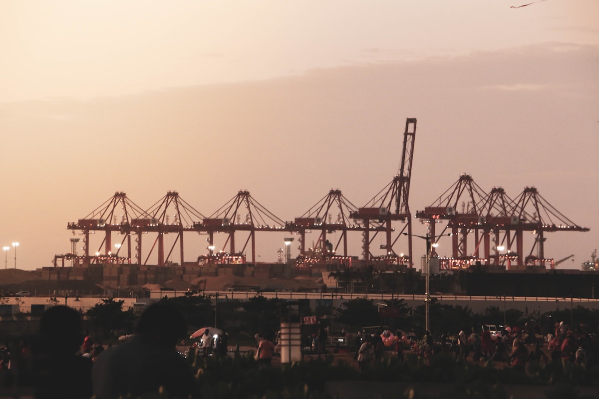 Grúas de puerto al atardecer